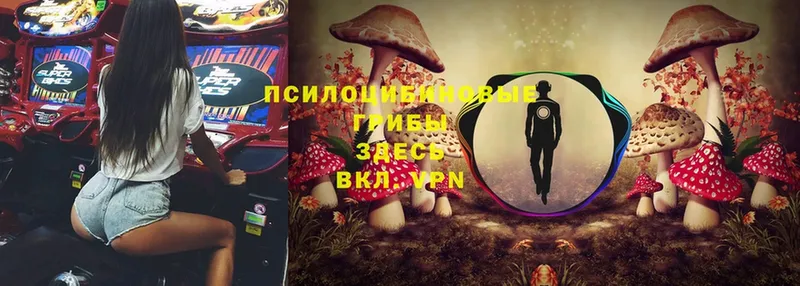 Галлюциногенные грибы MAGIC MUSHROOMS  мориарти как зайти  Власиха 